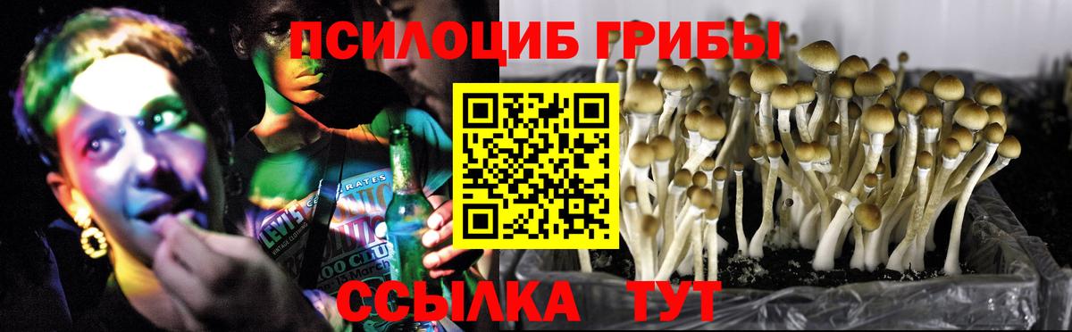 Кизилюрт  Псилоцибиновые грибы мухоморы  Вход с VPN 